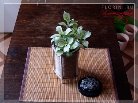 Подставка из банки "кофе"! В нее можно ставить цветы или другие предметы.