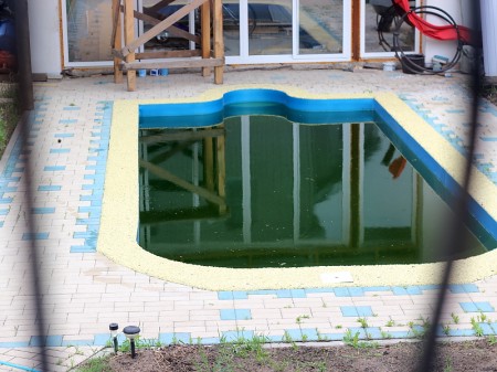 Зеленеет вода в бассейне